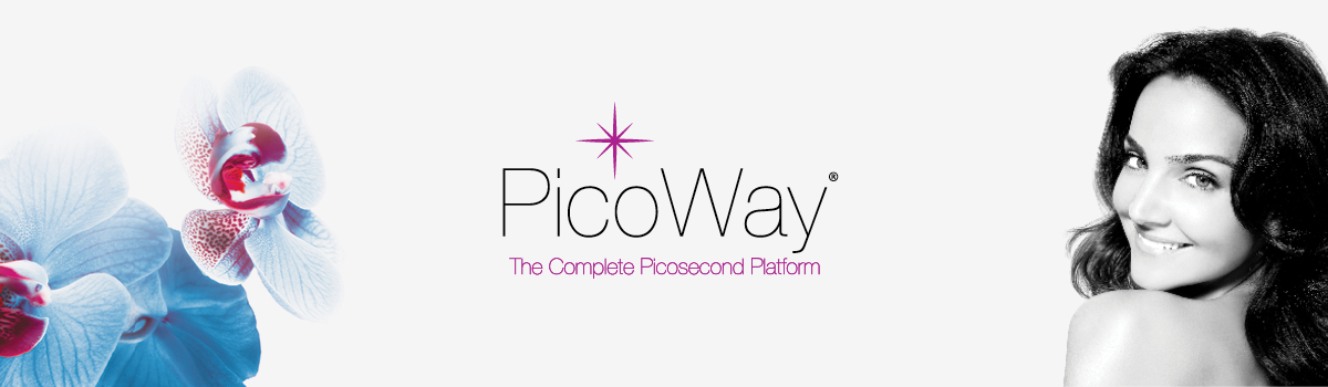 PicoWay Workshop